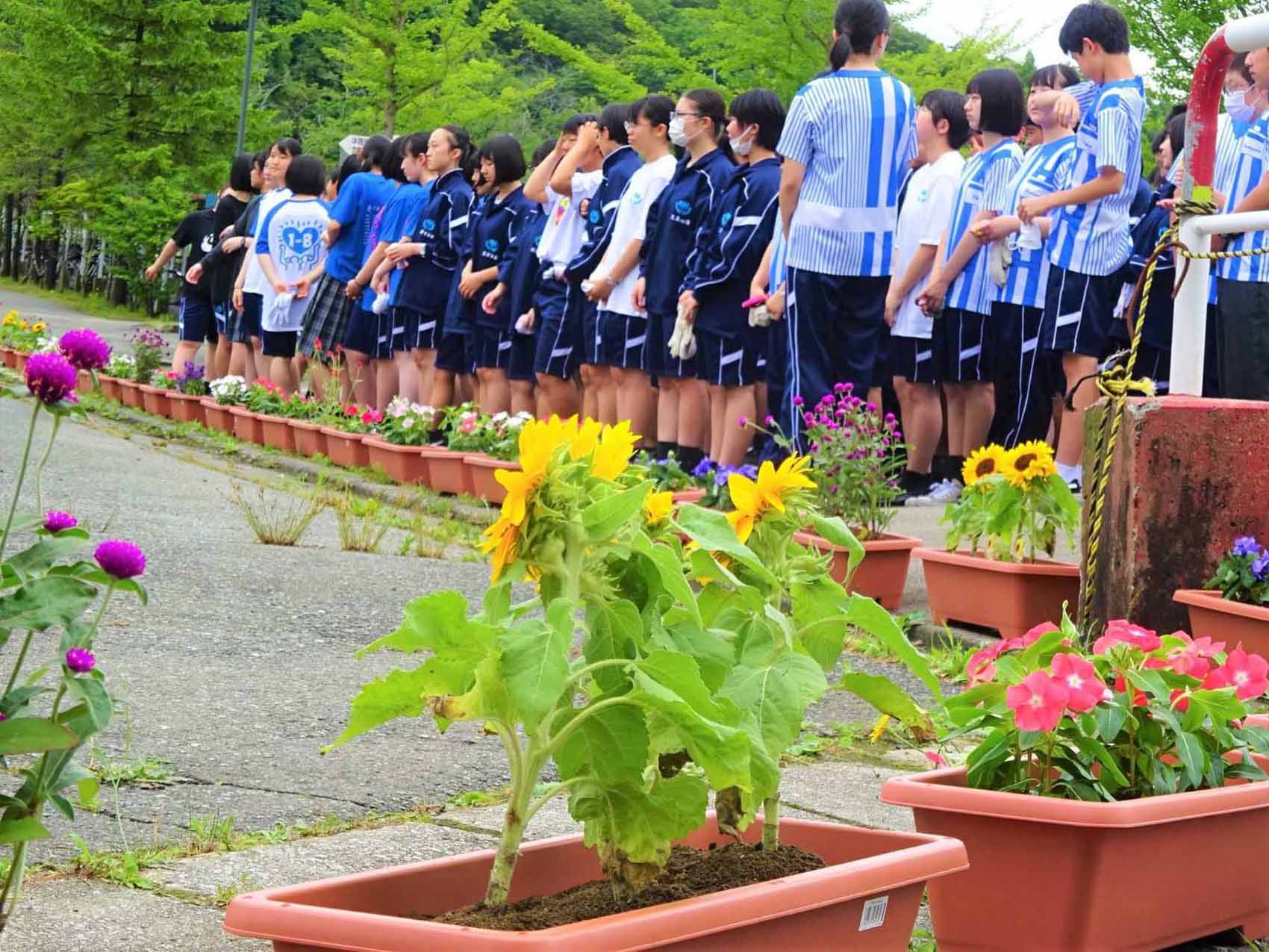 7月2日(木) 7月2日(木)