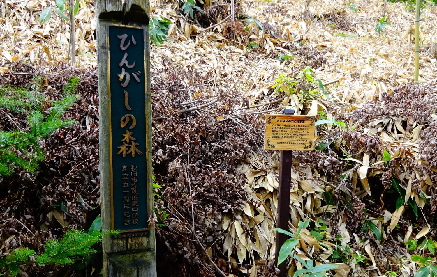10月5日(月) 10月5日(月)