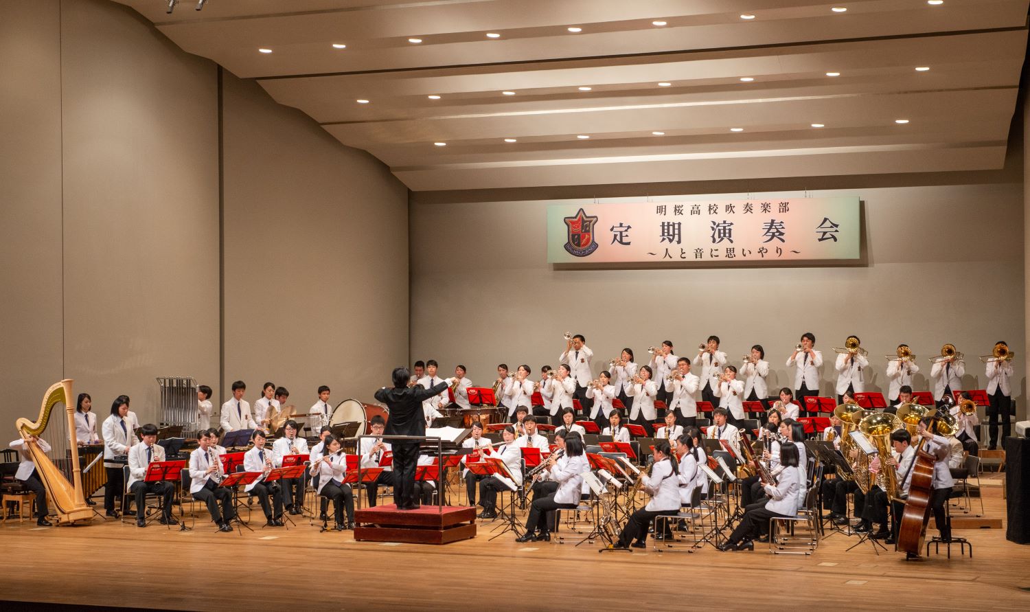11月16日(月) 11月16日(月)