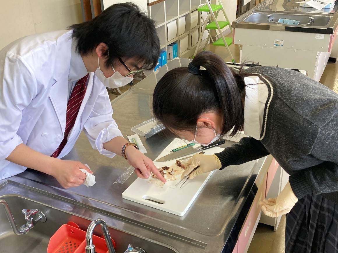 3月10日(水) 3月10日(水)