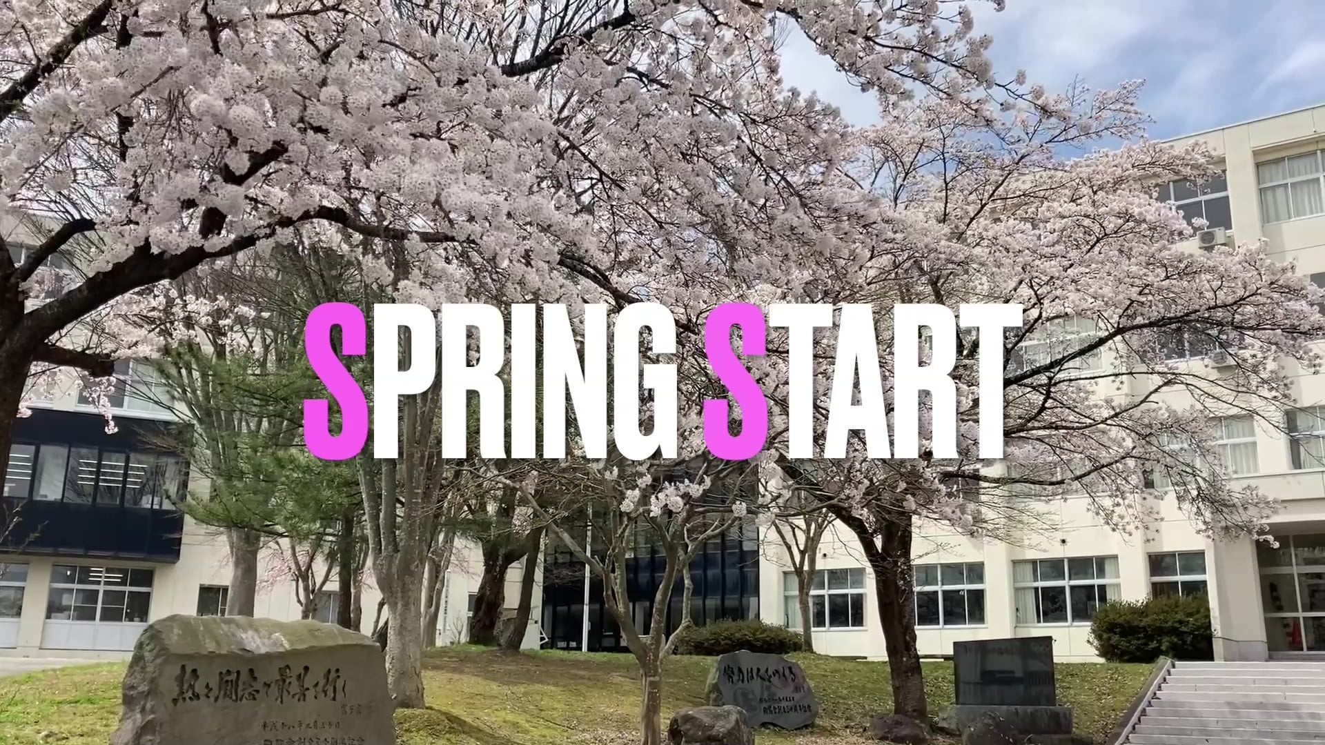 SPRING START SPRING START