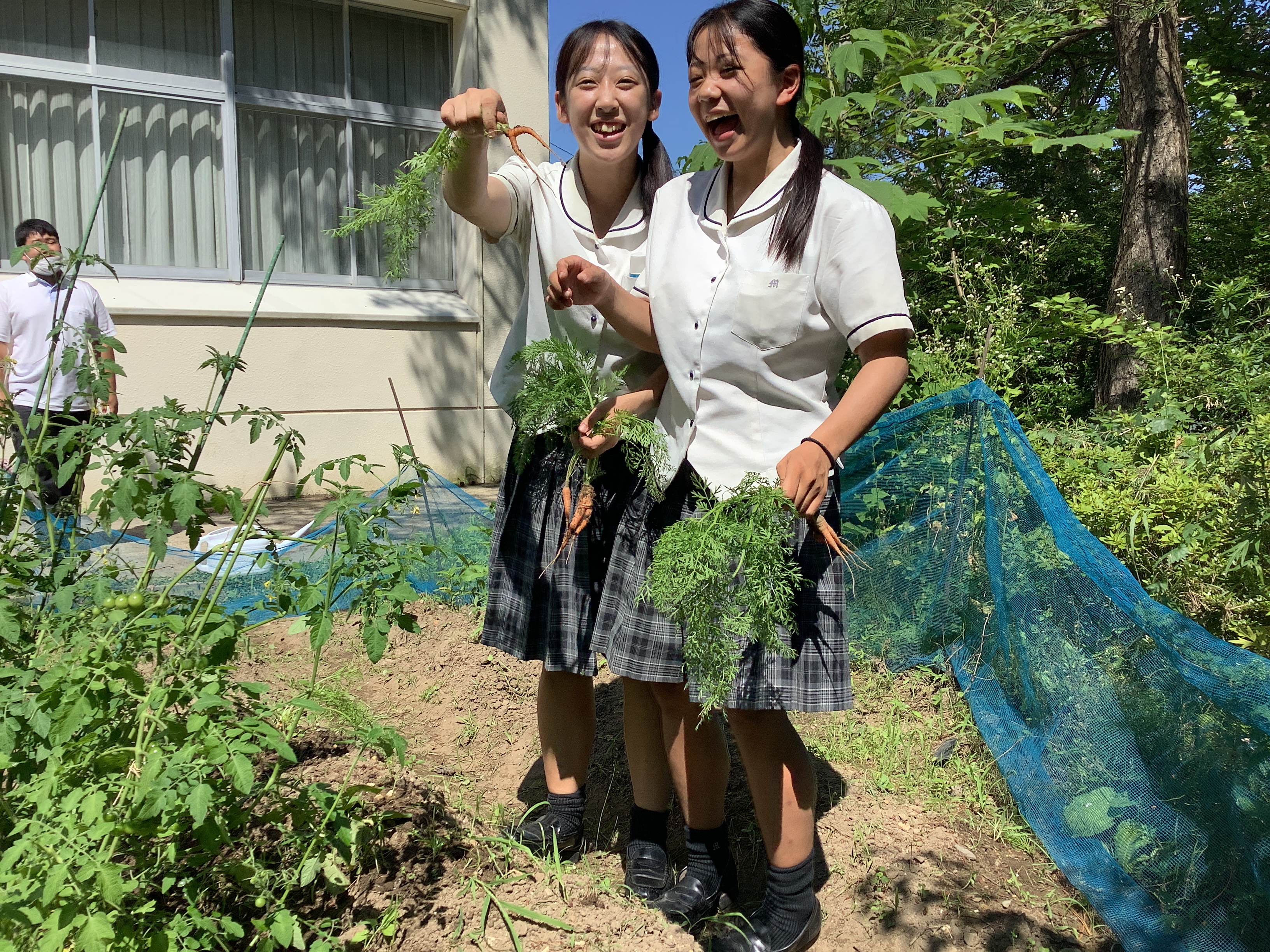 7月16日(金) 7月16日(金)
