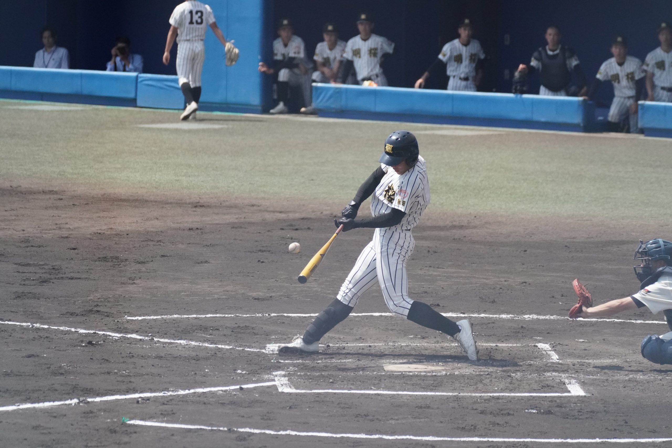 5月29日(月) 5月29日(月)