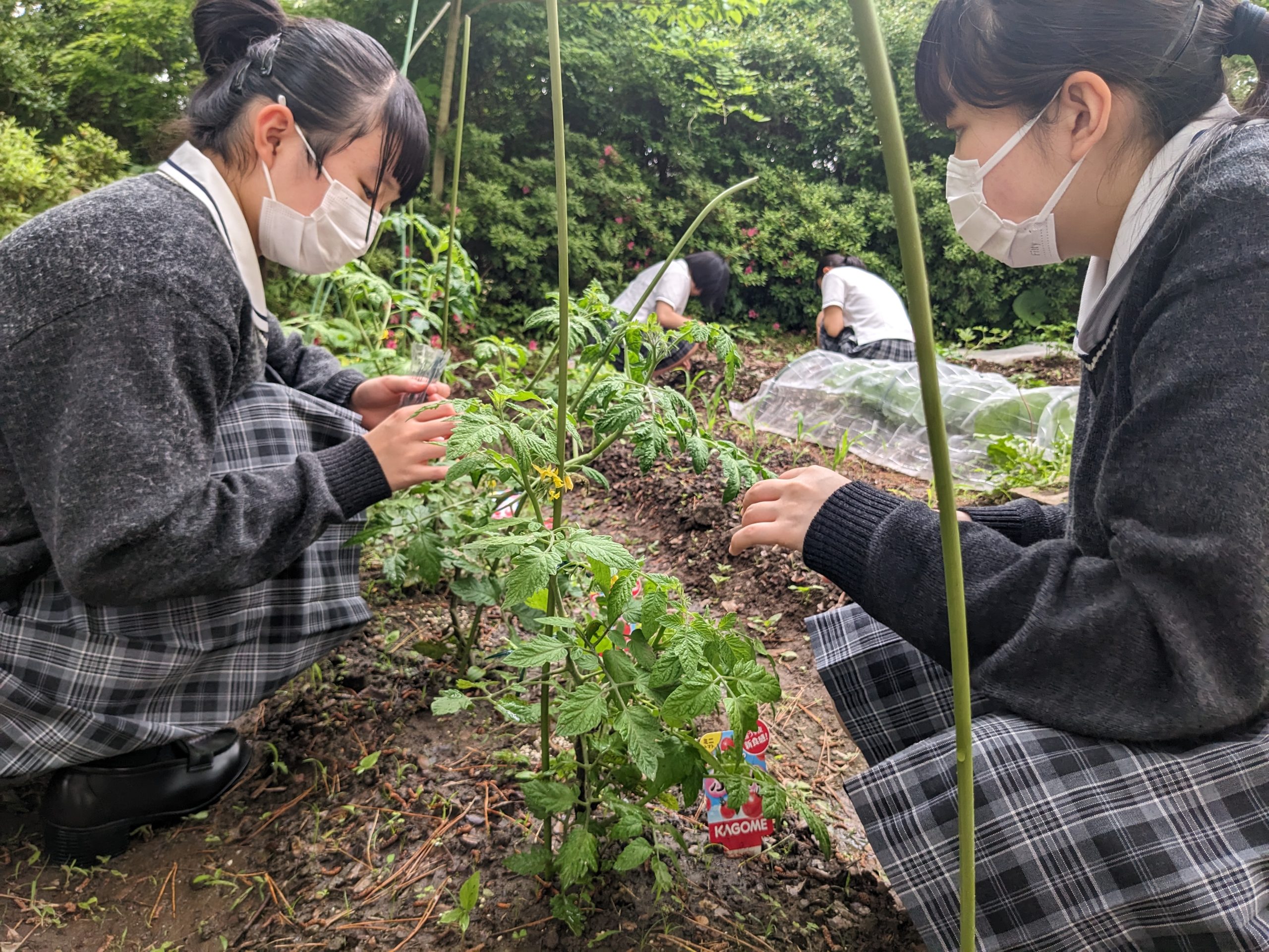 6月15日（木）