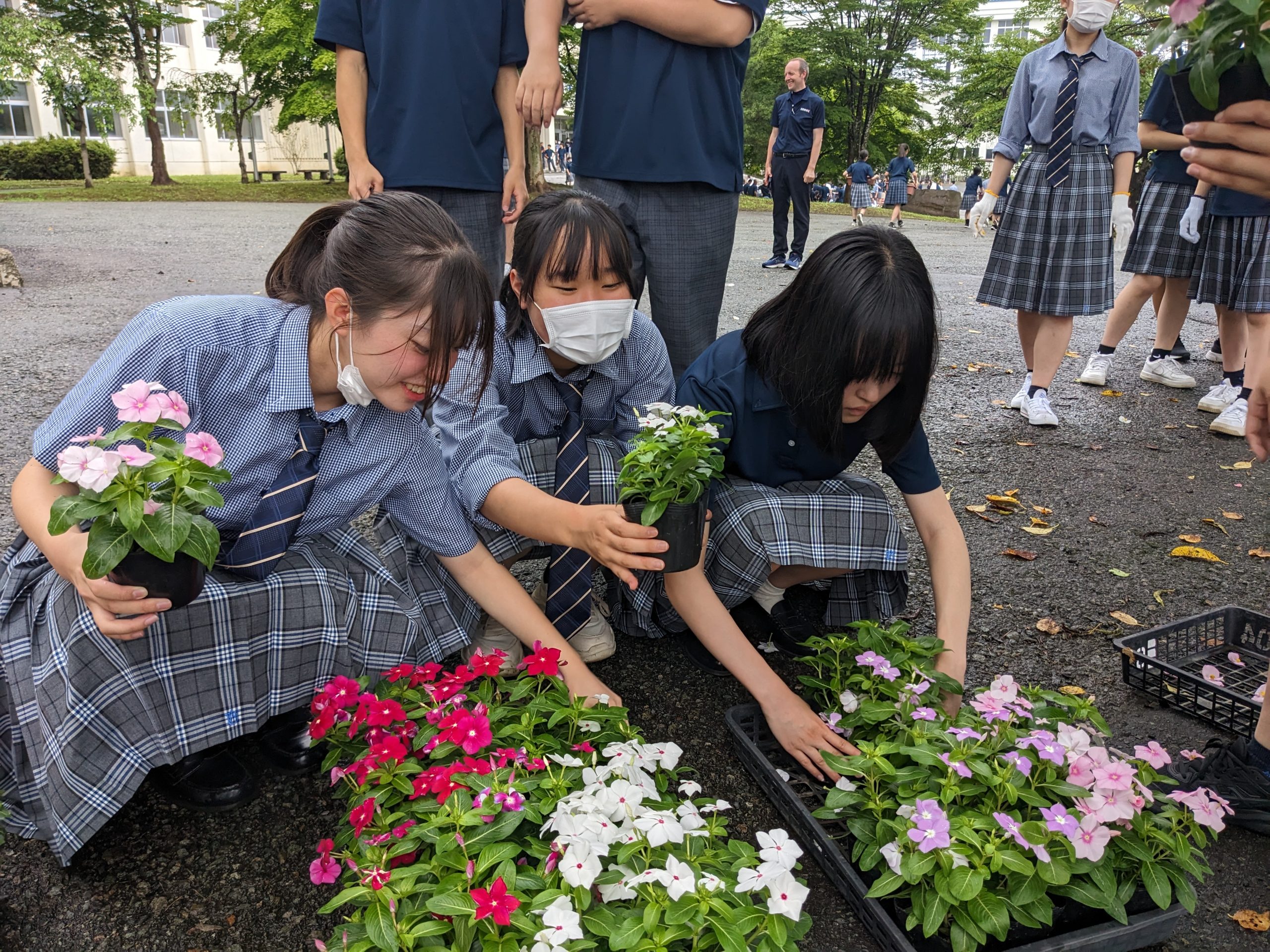 7月12日（水）