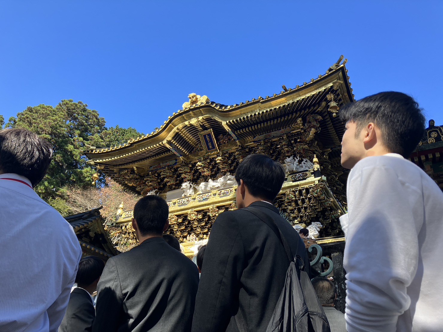 11月8日(水) 11月8日(水)