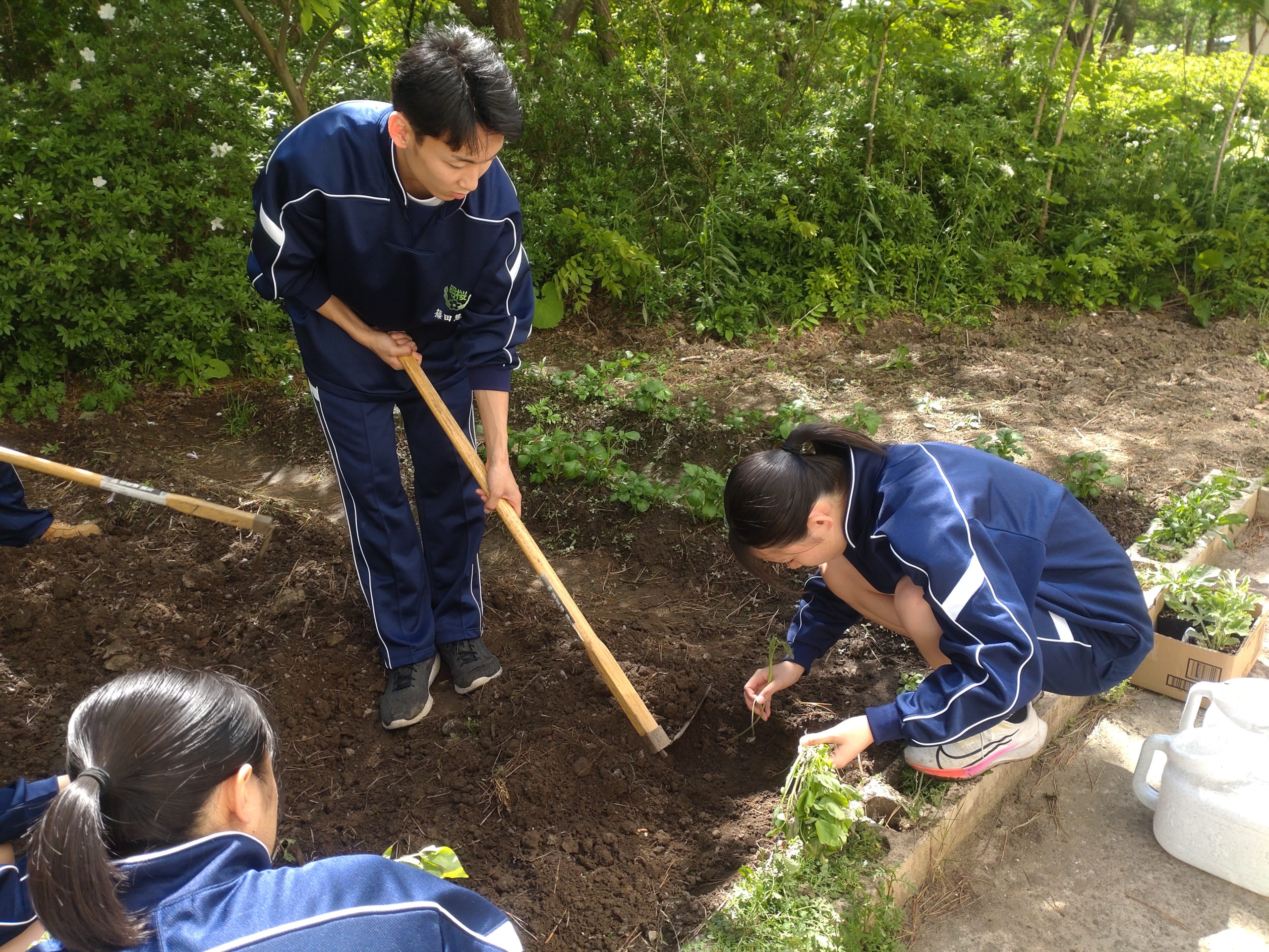 5月16日(木) 5月16日(木)
