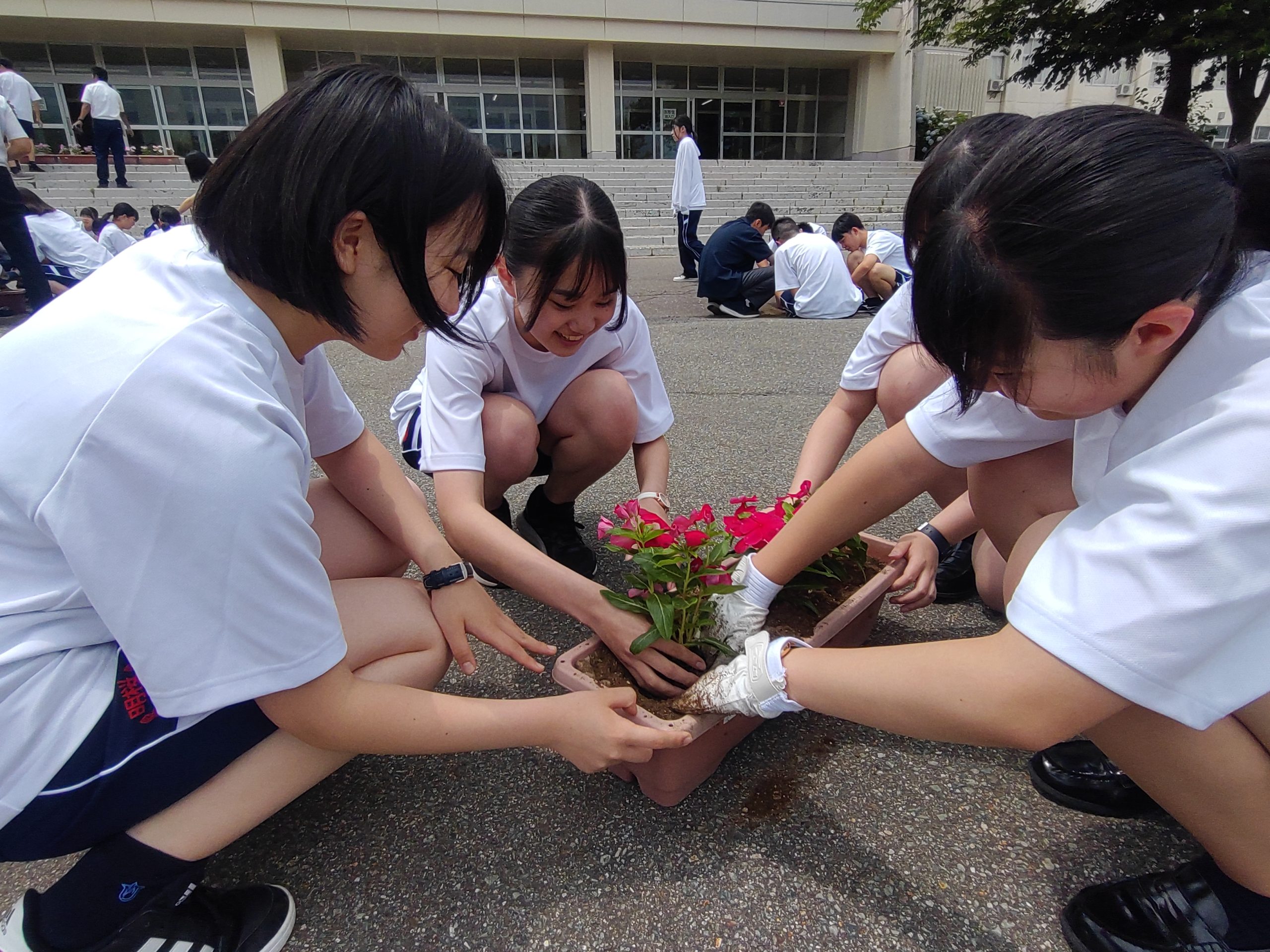 7月8日(月) 7月8日(月)