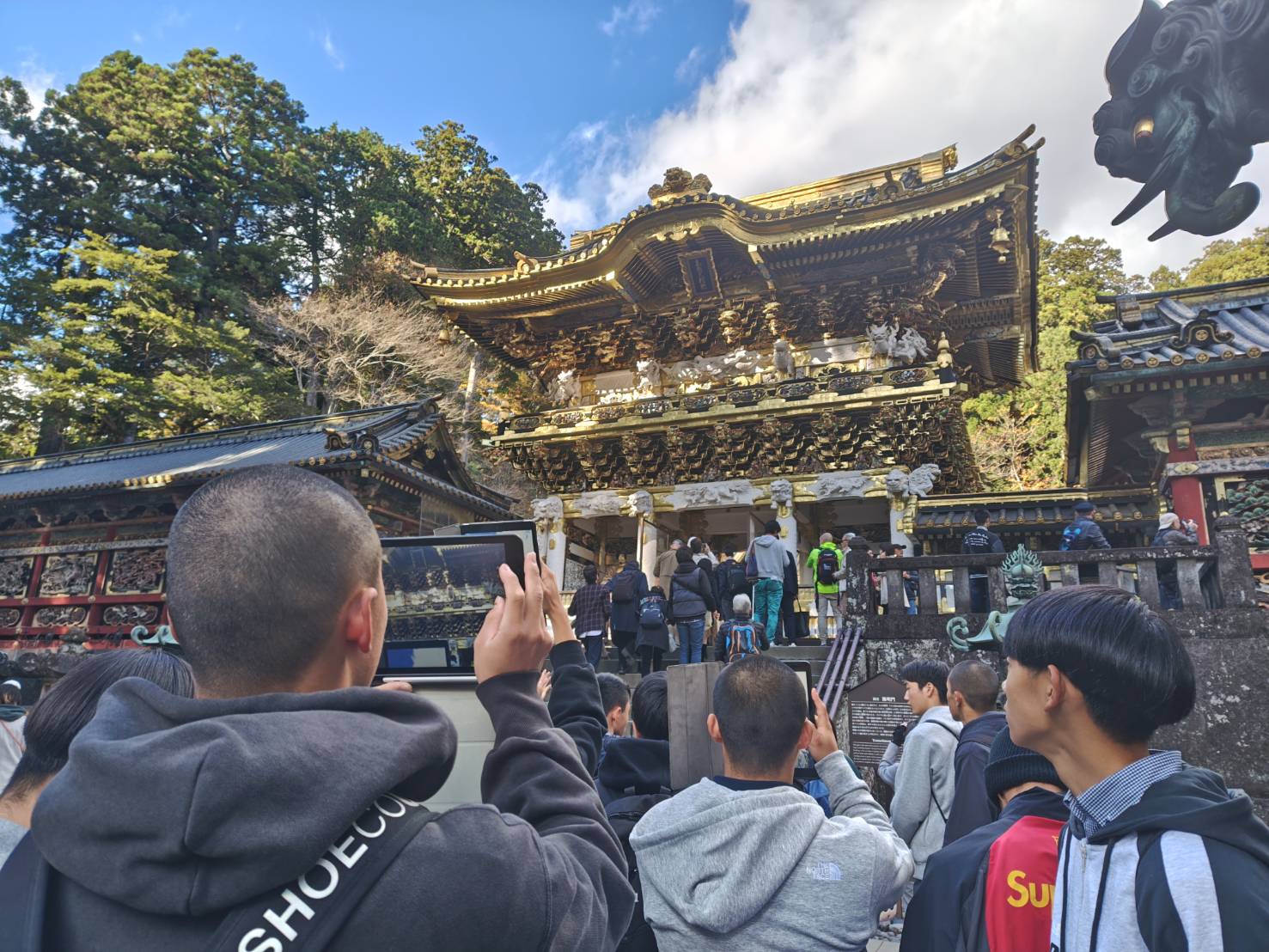 11月18日(月) 11月18日(月)