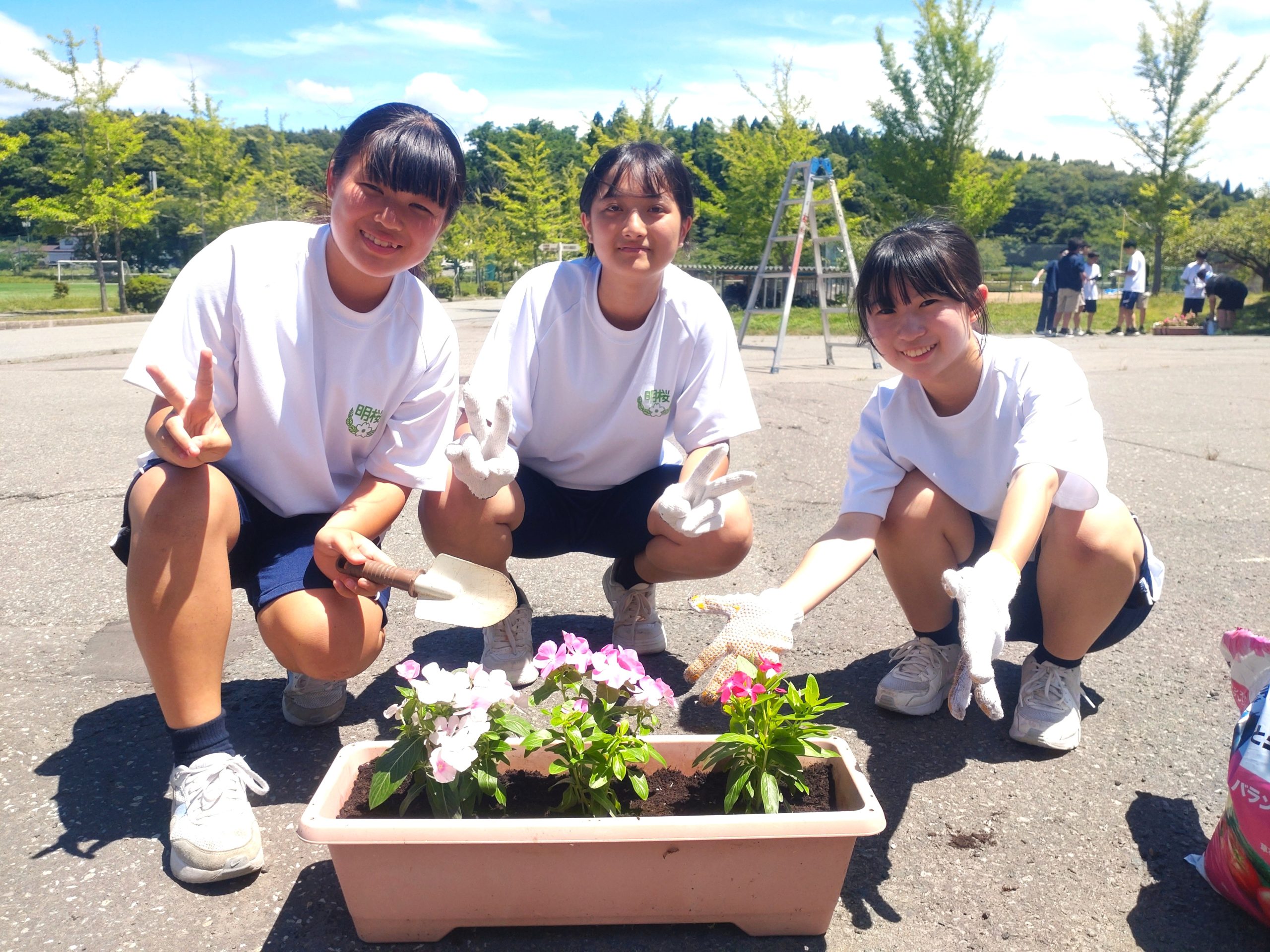7月15日(火) 7月15日(火)